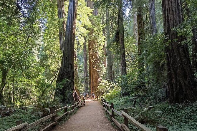 Alcatraz Night Tour & Muir Woods-Sausalito Afternoon or Morning - FAQ