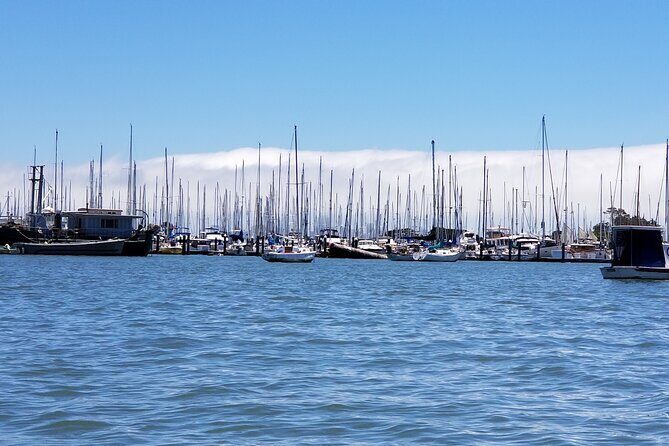 Alcatraz with Muir Woods and Sausalito Tour - Who Is This Tour Best For?