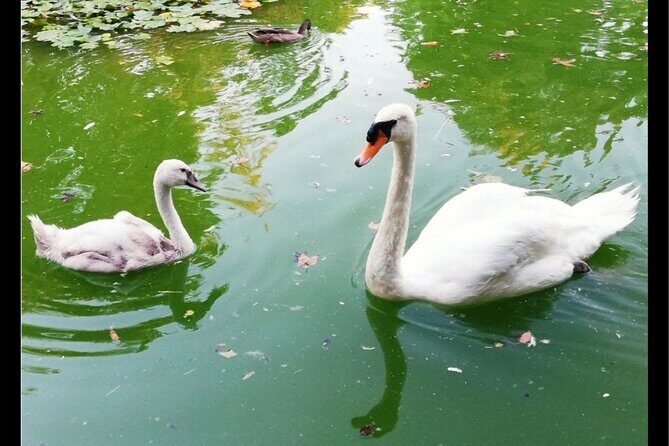 Alcazar, Cathedral, Plaza De España And Maria Luisa Park Private Tour - Who Would Love This Tour?