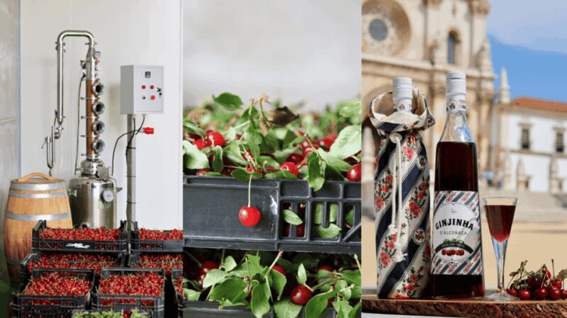 Alcobaça: Visit to the Lemos Figueiredo Winery and Distillery - FAQ