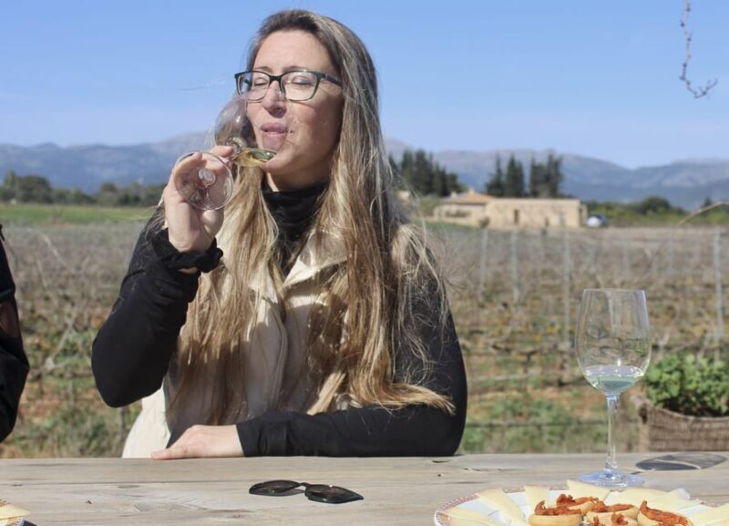 Alcúdia/Can Picafort: Guided Vineyard Visit and Wine Tasting - Concluding Thoughts