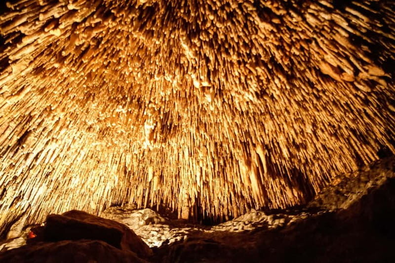 Alcudia: Caves of Drach Tour from the North with Boat Trip - The Itinerary: What You Can Expect