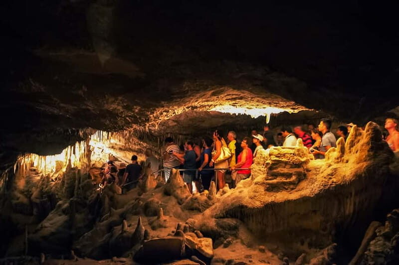 Alcudia: Caves of Drach Tour from the North with Boat Trip - Practical Tips for Travelers