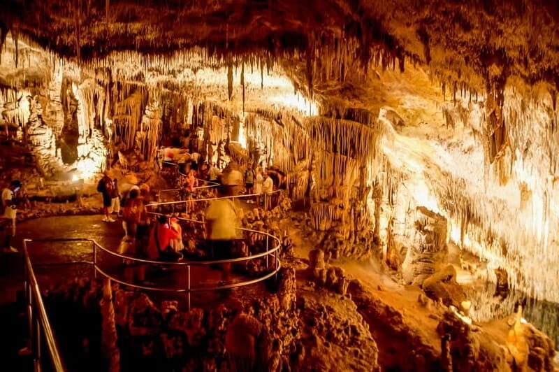 Alcudia: Caves of Drach Tour from the North with Boat Trip - Who Should Consider This Tour?