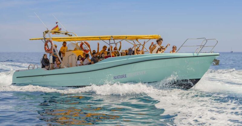 Alcudia: Coll Baix Beach & Sea Caves Cruise with Snorkeling - Who Will Love This Tour?