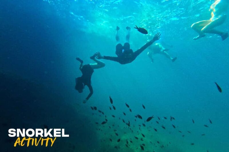 Alcudia: Kayaking Tour with Snorkel & Sea Cave Swim - Why This Tour Offers Great Value