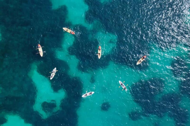 Alcudia: Kayaking Tour with Snorkel & Sea Cave Swim - Who Is This Tour Best For?