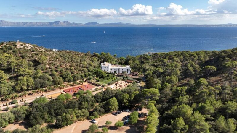 Alcudia: Museum Sa Bassa Blanca Entry Ticket - A Deep Dive into the Museum Experience