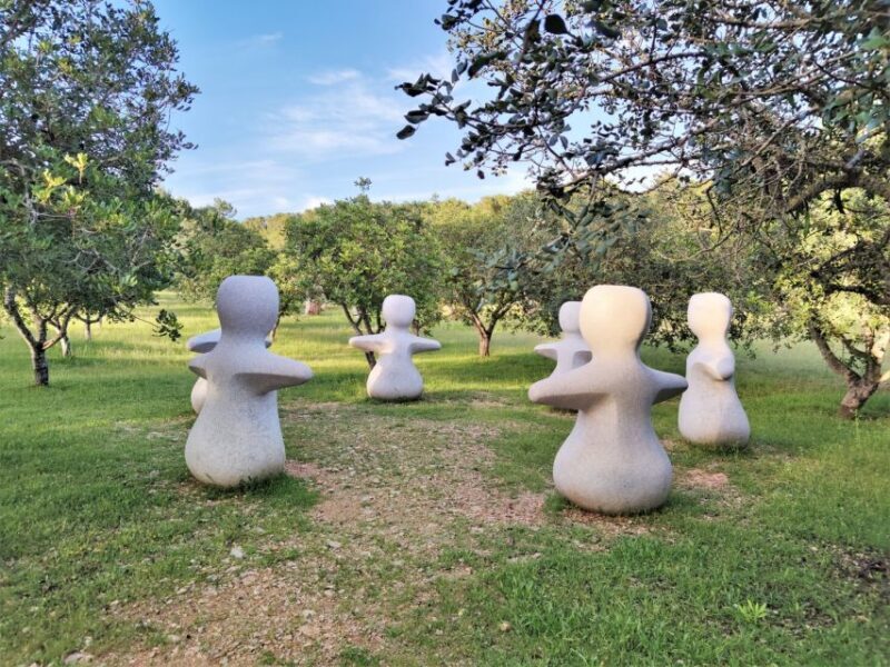 Alcudia: Museum Sa Bassa Blanca Entry Ticket - Authentic Experience & Hidden Gems