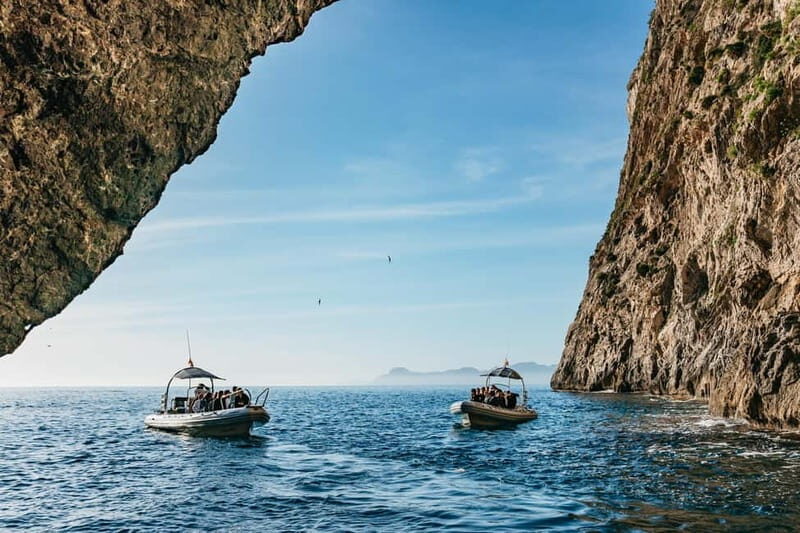 Alcudia or Can Picafort: Dolphin-Watching Cruise - A Complete Look at the Alcudia and Can Picafort Dolphin-Watching Cruise