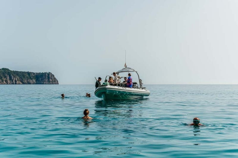 Alcudia or Can Picafort: Dolphin-Watching Cruise - Final Thoughts