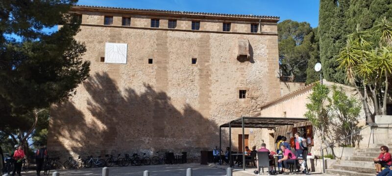 Alcudia: Quad Sightseeing Tour with Viewpoints - The Authentic Experience & Real Feedback