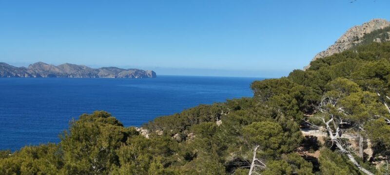 Alcudia: Quad Sightseeing Tour with Viewpoints - Final Thoughts