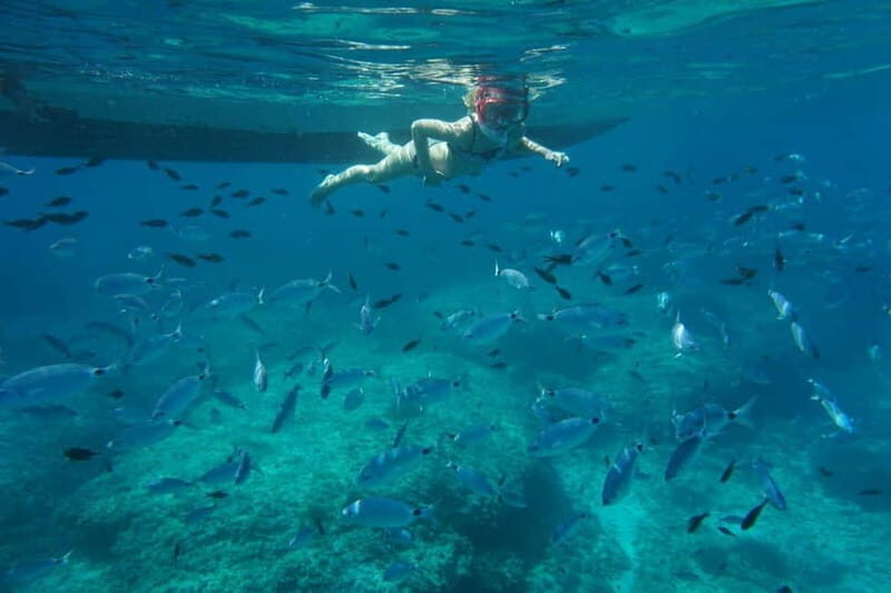 Alcudia: Sea Caves Coves and Snorkeling in small groups - What You Can Expect from This Alcudia Coastal Tour