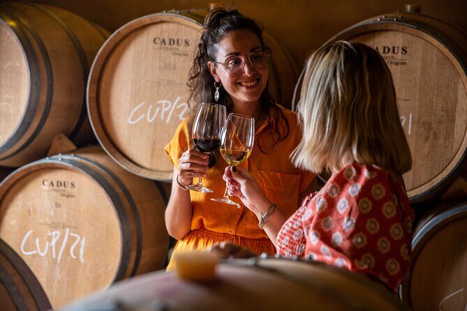 Alcudia Winecellar Tour with Vineyard Visit, Tasting of 5 Wines - The Sum Up