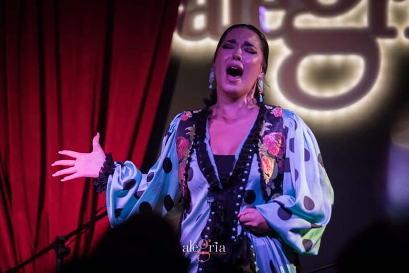 Alegria Flamenco in Malaga, with Transfer, Cocktail and Premium Location - Is It Worth the Price?