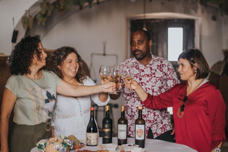 Alentejo: Visit and Taste the tradition of Talha Wines - A Deep Dive into the Experience