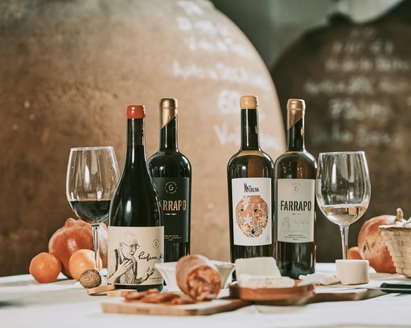 Alentejo: Visit and Taste the tradition of Talha Wines - Why This Tour Works Well