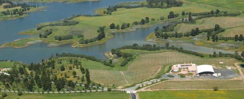 Alentejo Wine Tour from the Algarve - Who Will Love This Tour?