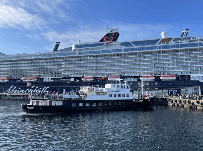 Ålesund: Archipelago Fjord Cruise - Summary: Why This Cruise Is Worth Considering