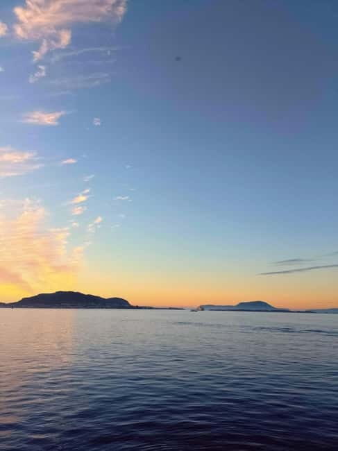 Ålesund: Art Nouveau Walking Tour - Authentic Street Life and Hidden Gems