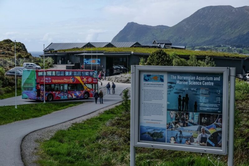 Alesund: City Sightseeing Hop-On Hop-Off Bus Tour - Authentic Insights from Travelers