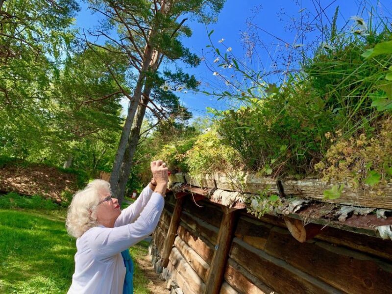 Alesund Heritage Sightseeing Tour - Final Thoughts