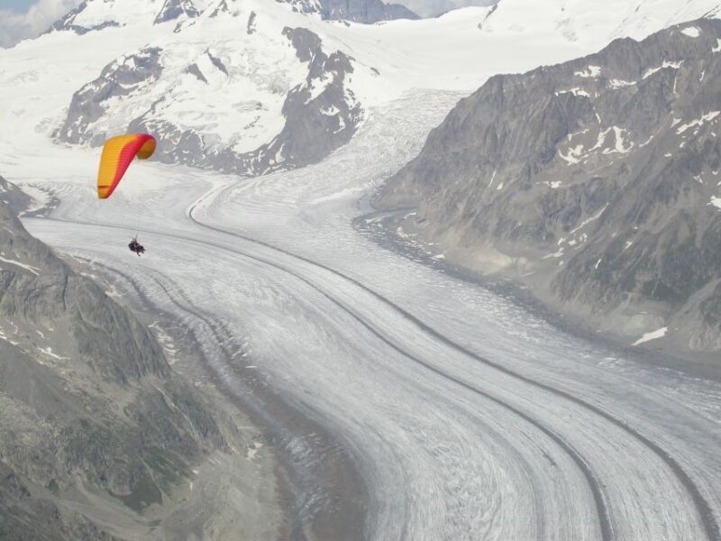 Aletsch Arena: Paragliding Tandem Flight Basic - Authentic Insights from Reviews
