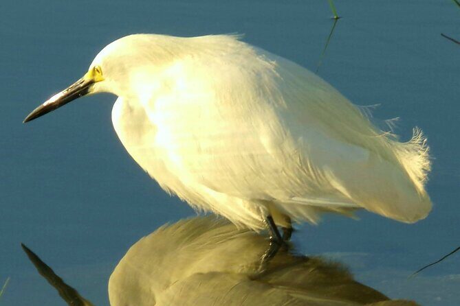 Alexander Springs 4 Hour Guided Kayak/ Swim/ Snorkel Adventure - Who Should Consider This Tour?