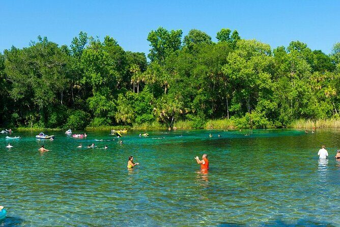 Alexander Springs 4 Hour Guided Kayak/ Swim/ Snorkel Adventure - Final Thoughts