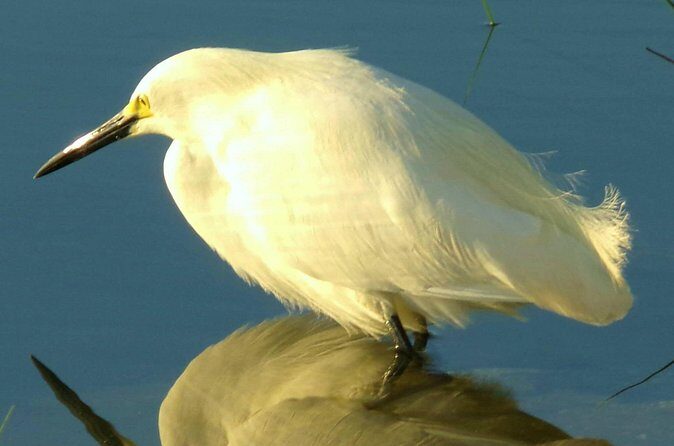 Alexander Springs 4 Hour Guided Kayak/ Swim/ Snorkel Adventure - FAQ