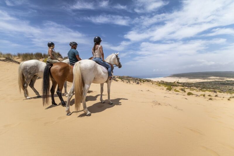Algarve: 1-Hour Carrapateira Horseback Riding Tour - What Makes This Horseback Riding Tour Special?