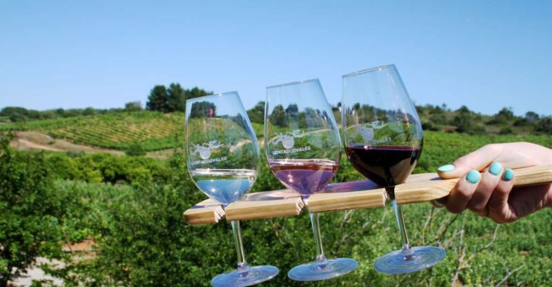 Algarve: 3 Types of Wine Tastings with Vineyard Views - The Grounds and Additional Features