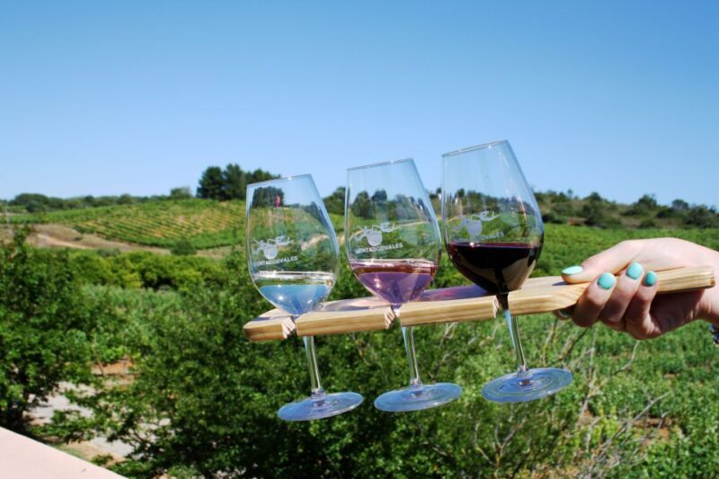 Algarve: 3 Types of Wine Tastings with Vineyard Views - Practical Details and Tips