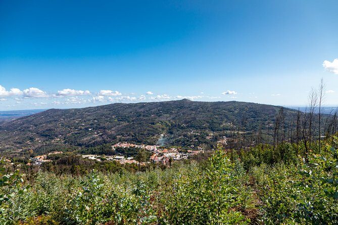 Algarve a la Carte - FAQ