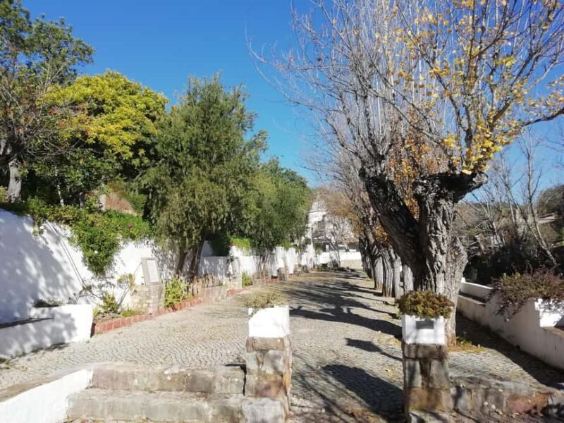 Algarve: Caldeirão Mountains and Villages Tour - Key Points