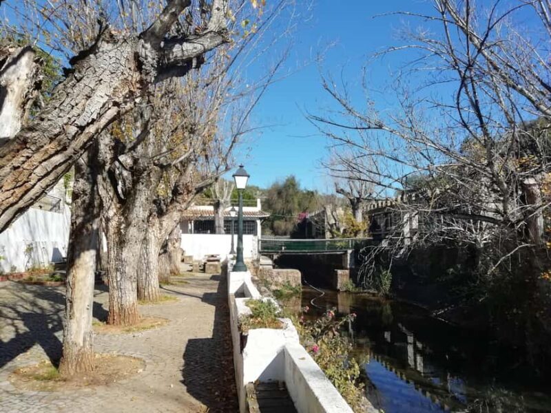 Algarve: Caldeirão Mountains and Villages Tour - Who Should Consider This Tour