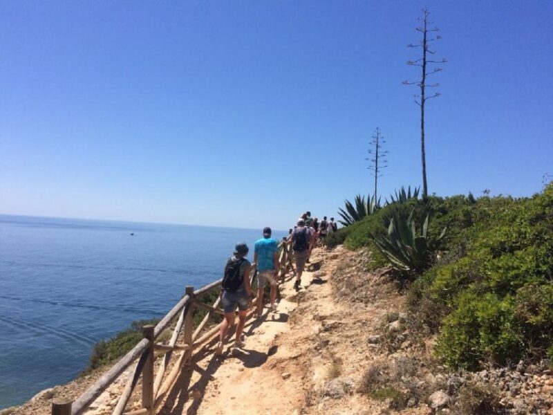 Algarve: Carvoerio and Benagil Walking Tour and Cruise - Who Will Love This Tour?