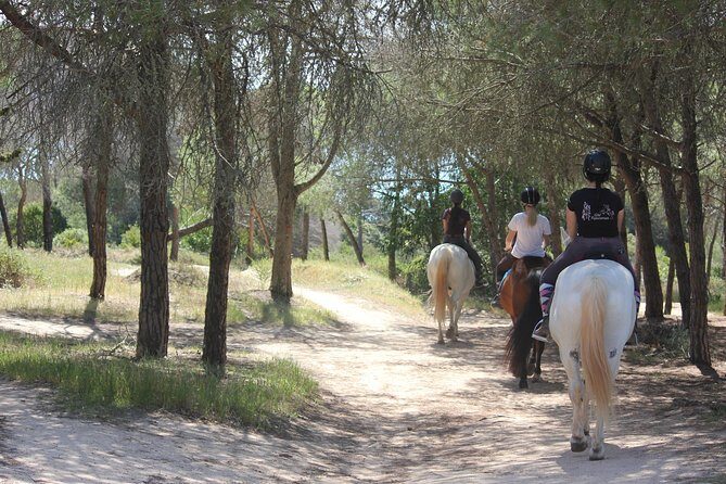 Algarve - Exclusive horseriding in Portimao (no experience required) - The Ride Experience: What to Expect