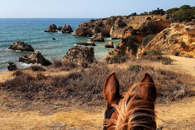Algarve - Exclusive horseriding in Portimao (no experience required) - Practical Details