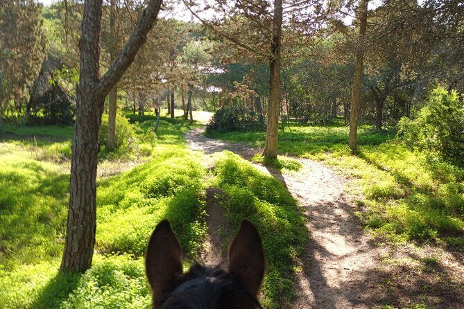 Algarve - Exclusive horseriding in Portimao (no experience required) - Who Should Book This Tour?
