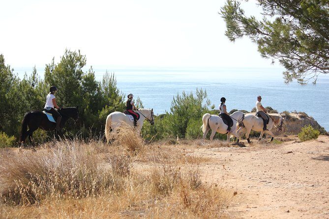 Algarve - Exclusive horseriding in Portimao (no experience required) - Final Thoughts