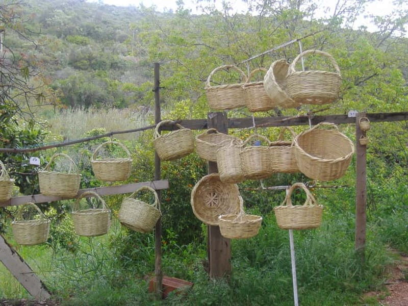 Algarve: Flavors and Traditions Tour - Key Points