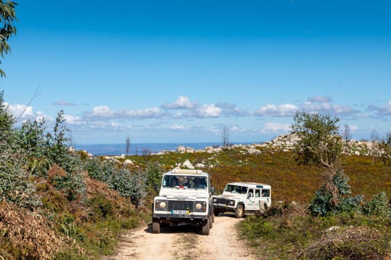 Algarve: Full-Day Guided Sightseeing Tour with Lunch - Key Points