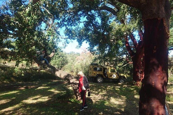 Algarve Half Day Jeep Safari (PRIVATE TOUR) - What Sets This Tour Apart?