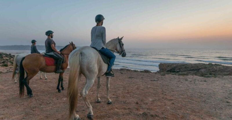 Algarve: Horse Riding Beach Tour at Sunset or Morning - The Sum Up