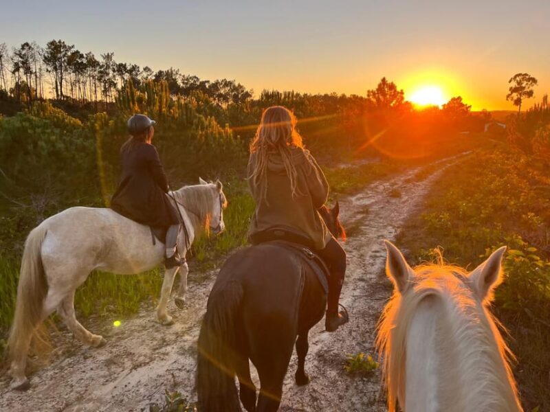 Algarve Horseriding tour in the countryside of Aljezur Rogil - What to Expect from the Ride
