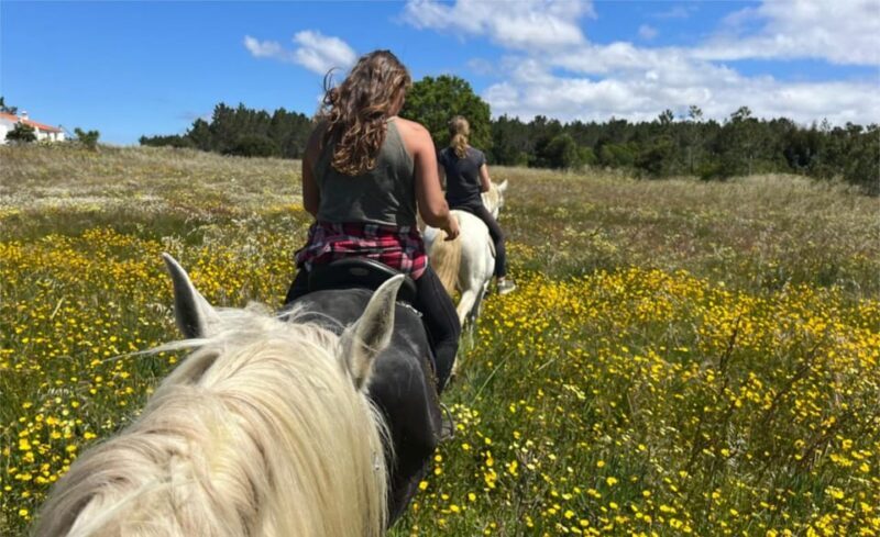 Algarve Horseriding tour in the countryside of Aljezur Rogil - FAQs