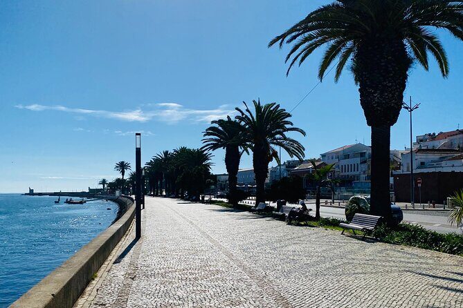 Algarve: Lagos sightseeing guided tour with E-bikes - A Closer Look at the Lagos E-bike Tour