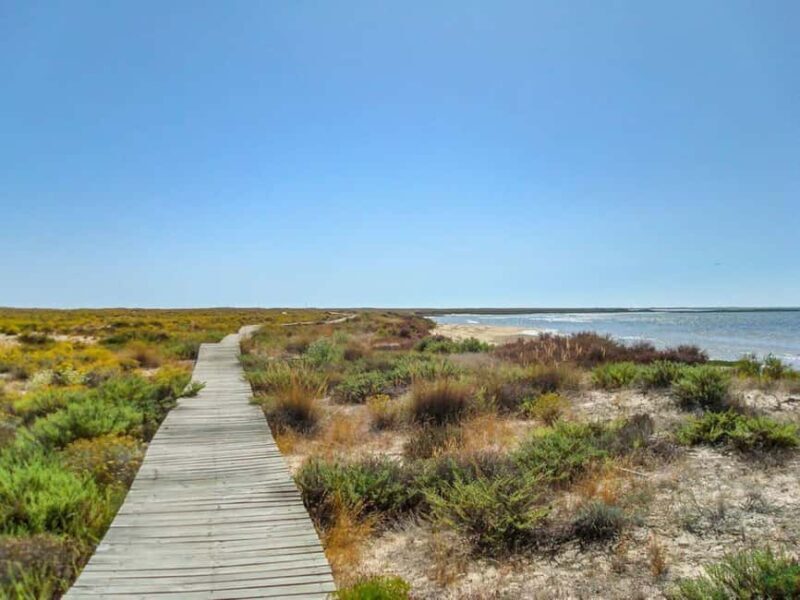 Algarve: Olhão Highlights Tour and Ria Formosa Boat Trip - Practical Tips for Travelers